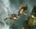 20081202_tombraiderlendedbackground.jpg